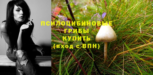 прущий лед Надым