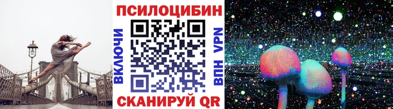 сколько стоит  Куса  Псилоцибиновые грибы ЛСД 